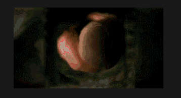 sweetest thing glory hole Best orgasm pictures